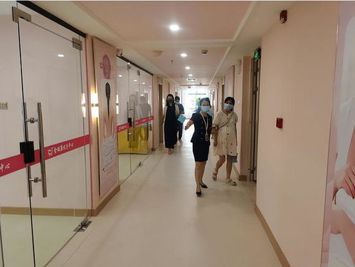 打破傳統，引領未來 標準化母嬰護理服務的變革之路